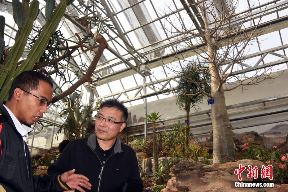 《千秋》by夢(mèng)溪石百度百科