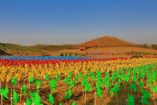 錯位(校園鮮魚)