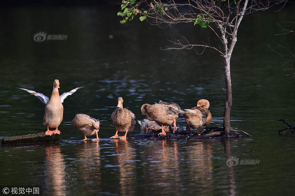被小狗纏上by筆趣閣