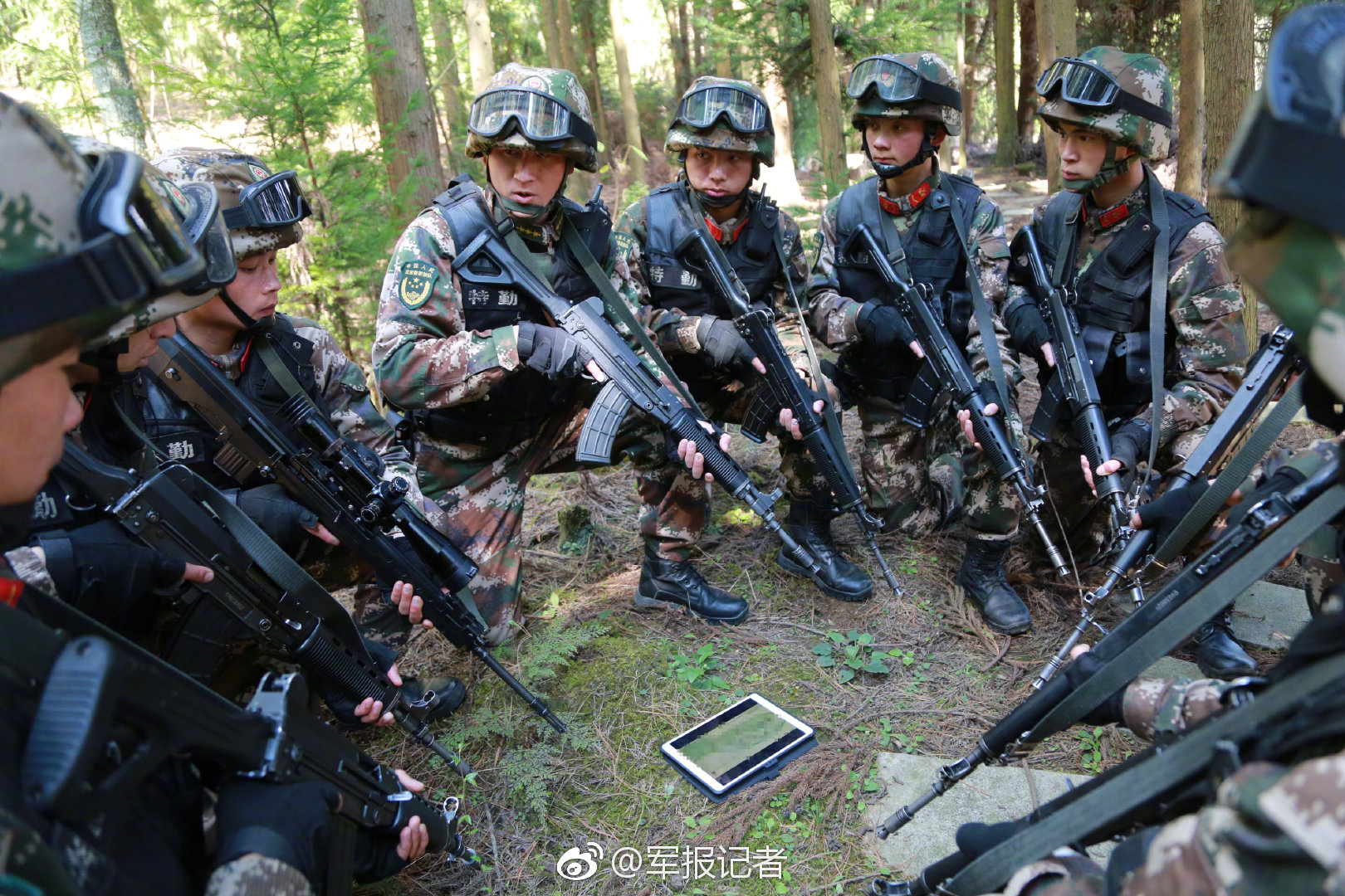 繁華落盡已成霜,佳人幾許難相忘