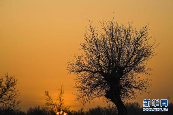 第一次by陳之遙小說