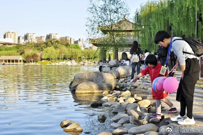 白羊by阿司匹林