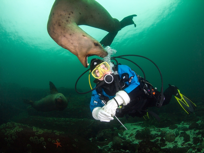 風華絕代王妃斗蒼穹txt