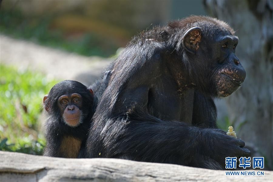 暗引力by阿司匹林