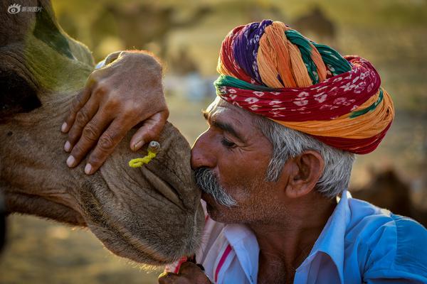 1v1(律師)筆趣閣姐夫