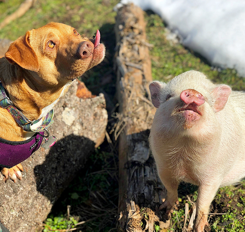 著迷 阿司匹林 po筆趣閣